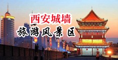 欧美鸡巴操逼视频中国陕西-西安城墙旅游风景区